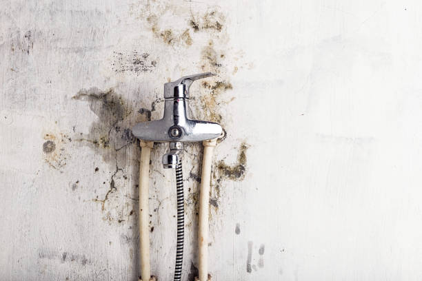 Home Mold Removal in Luck, WI