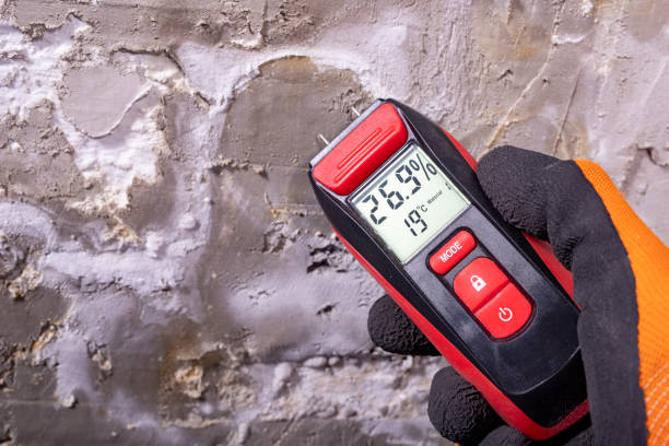 Best Water Damage Restoration  in Luck, WI